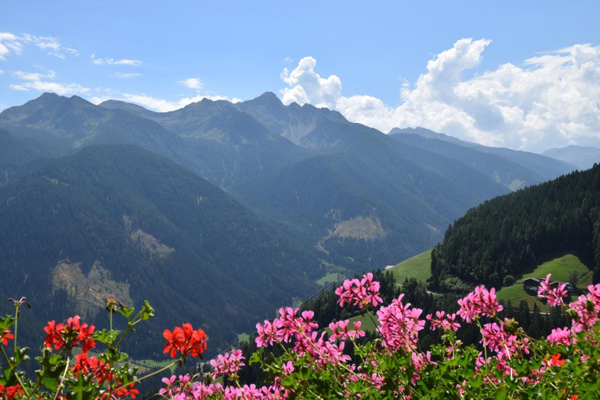 Ortlerhof Im Ultental - Urlaub Auf Dem Bauernhof Екстер'єр фото