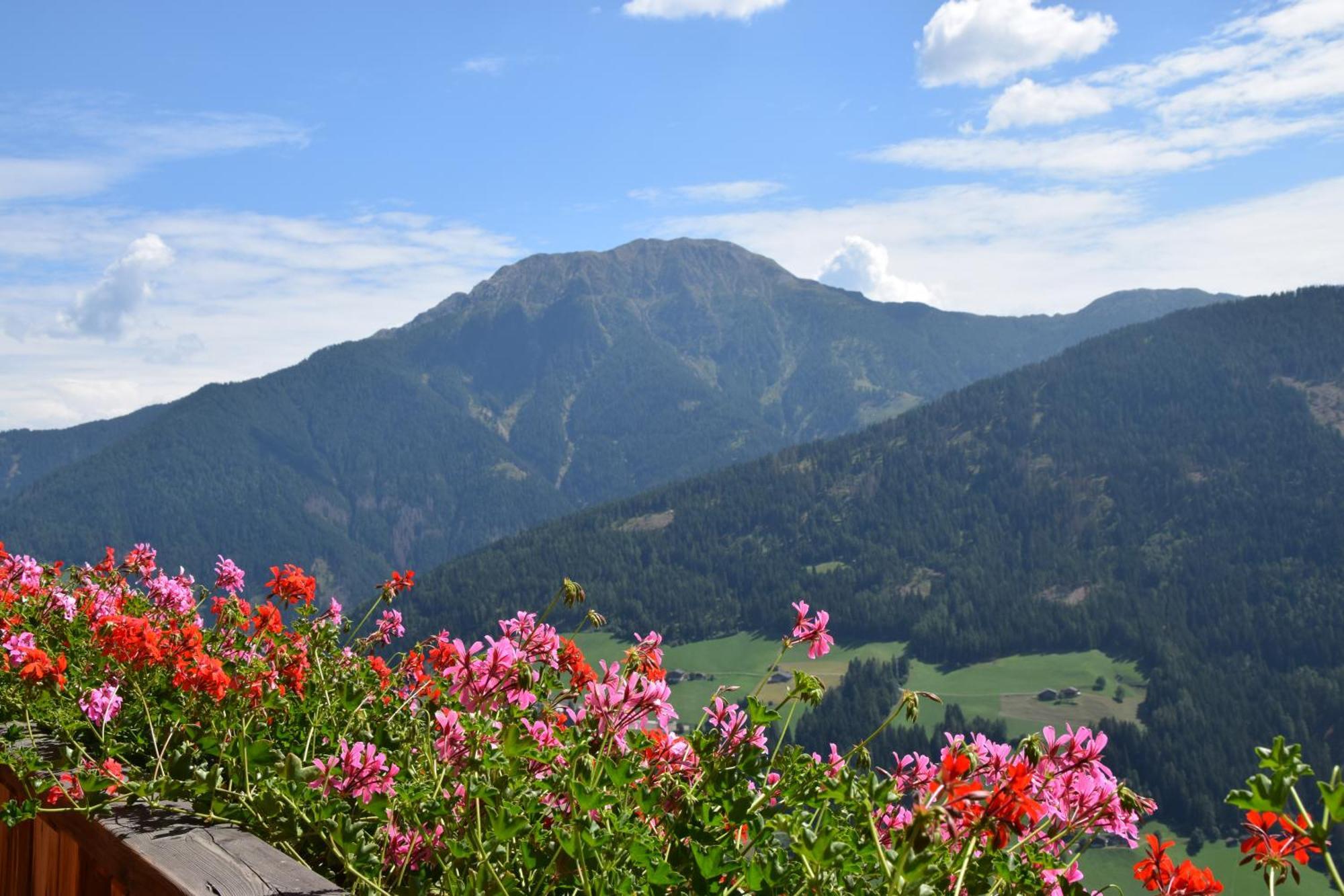 Ortlerhof Im Ultental - Urlaub Auf Dem Bauernhof Екстер'єр фото